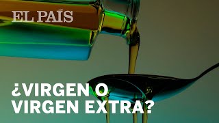 CÓMO saber si el ACEITE de oliva es VIRGEN EXTRA  Economía [upl. by Gil768]