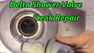 Delta Single Handle Shower Valve Leak Repair 1314 Series [upl. by Einafpets393]