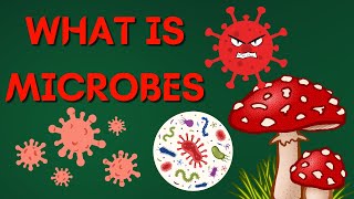 what is microbes [upl. by Armelda]