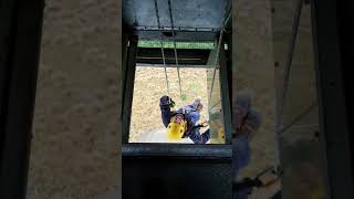 Wind turbine rescue training nacelle evacuation [upl. by Charlene]