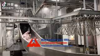 Pig abattoir slaughter line equipment hog slaughterhouse processing machine supplier in China [upl. by Sandberg195]