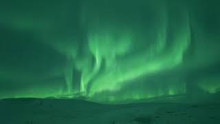 Northern lights  Aurora in Iceland [upl. by Dusty963]