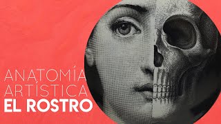 Anatomía artística EL ROSTRO [upl. by Ylrebnik]