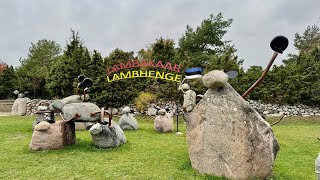 🇪🇪 Estonie Le parc à mouton tourdeurope estonie vanlife famillenomade [upl. by Aneeroc]