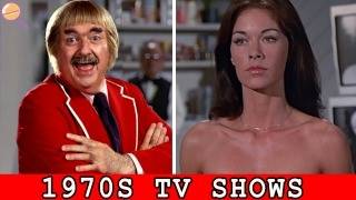 20 Forgotten TV Shows From The 1970s [upl. by Trumaine]