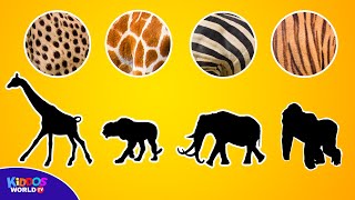 Guess the Animal Game and Learning to Count Animals [upl. by Suinuj]