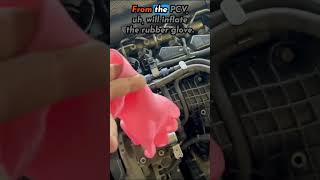 How To CHECK Bad PCV Valve Symptoms Rubber Glove Method [upl. by Adlemi27]