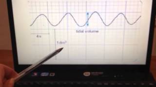 Spirometer  Tech Tips with Vernier [upl. by Britteny419]