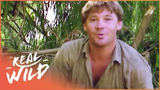 Steve Irwin Catches A Crocodile In Epic Battle [upl. by Annadroj647]