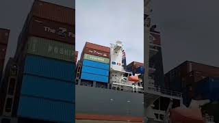 SEA PORT ACTIVITY cargoship Containeryard Seaport tgpriok Containervesel Shortsvideo [upl. by Parcel63]