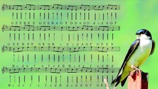 Swallowtail Jig  Tin Whistle Tabs  Play Along Tutorial [upl. by Rab406]