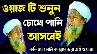 কলিজা ফাটা কান্নায় ভরা ওয়াজ┇মাওলানা জয়নাল আবেদীন সাহেব┇Bangla Waz 2022┇Maulana Joynal Abedin Waz [upl. by Sualocin424]