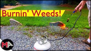 Burning Weeds with a Propane Torch [upl. by Najtsirk613]