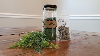 All About Dill Seed Saving Drying Dill [upl. by Hakan]