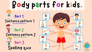 Body Parts For Kids Learning  Parts Of The Body  Spelling Quiz  ESL Kids  4K [upl. by Nestor526]