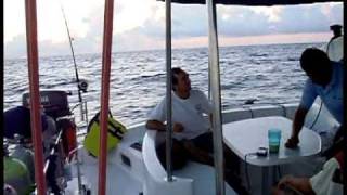 BUCEO Y PESCA ISLA ALACRANES En Velero Catamaran moon shadow PARTE 2 [upl. by Dnomaj]