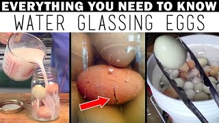 HOW TO WATER GLASS EGGS Successfully the 1st Time Plus 1Year Results Revealed [upl. by Adnohsor]