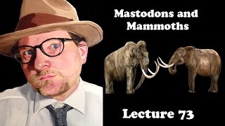 Lecture 73 Mastodons and Mammoths [upl. by Eolc871]