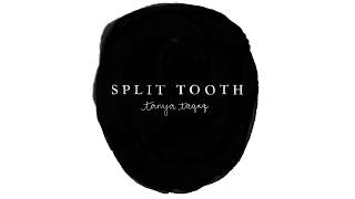 Split Tooth by Tanya Tagaq [upl. by Husein104]