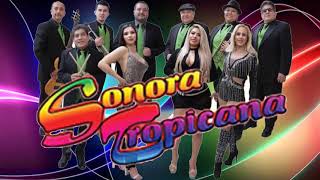 Sonora Tropicana Mix Cumbias 2020 [upl. by Agate98]