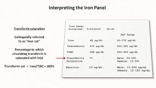 Anemia Lesson 2  Interpreting the Iron Panel [upl. by Mcnutt691]