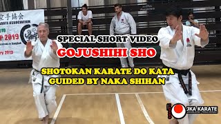 Bonus Clip  Gojushiho Sho Shotokan Kata Guided By Naka Shihan [upl. by Esinahs704]