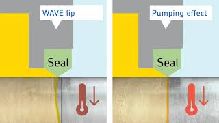 Basics of Contact Seals [upl. by Joung]