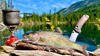 48H SOLO Backpacking amp MOUNTAIN TROUT Fishing Catch Cook Camp [upl. by Goldner14]