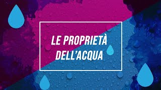 Proprietà dellacqua  Pillole di scienza [upl. by Nilorac]