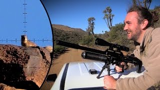 Long Range Dassie Hunting at Witmoskloof Farm [upl. by Olga]