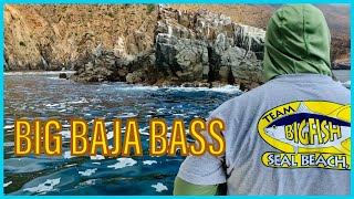 Bass Fishing in Ensenada Baja California [upl. by Billye]