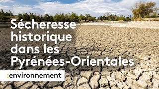 PyrénéesOrientales une sécheresse historique [upl. by Ojillek]