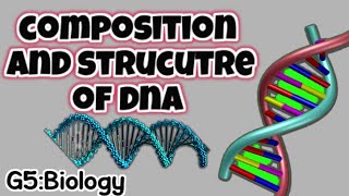 Molecular Biology  Composition and Structure of DNA  Molecular and Chemical Structure of DNA [upl. by Maxie]