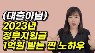 정부지원금으로 무자본 창업하는 방법 예비창업패키지 초기창업패키지 청년창업사관학교 정부지원사업 [upl. by Elysee169]