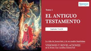 VISIONES Y REVELACIONES DE ANA CATALINA EMMERICK TOMO 1 ANTIGUO TESTAMENTO cap 11 a 20 [upl. by Nolur398]