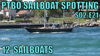 PTBO Sailboat Spotting S02E21  12 Sailboats Light Power In St Clair River sailing [upl. by Eniowtna]