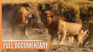 Hunting and being hunted in Kenyas Masai Mara  Full Documentary [upl. by Ever576]