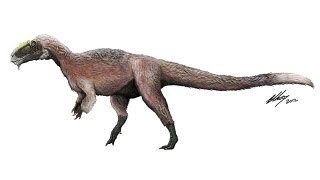 Feathered TRexlike Dinosaur Discovered is Largest Ever Found [upl. by Ttenaj775]