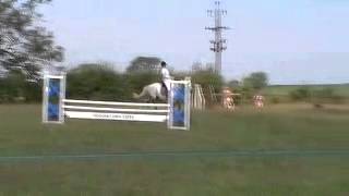 ZERLINA showjumping in county Durham [upl. by Cecile627]