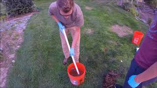 Removing Rust From Foothold Traps With Muriatic Acid pool cleaner [upl. by Anattar]