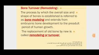 oral histology Alveolar process lec15 part2 طب اسنان مرحلة ثانية [upl. by Adiaj]