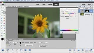 Photoshop Elements Tutorial  Selections and the selection tools [upl. by Oiliruam]