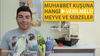 Muhabbet Kuşlarına Hangi Meyve ve Sebzeler Verilmeli [upl. by Berte830]