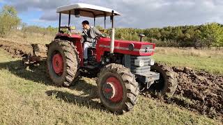 Massey Ferguson 188 plowing [upl. by Narine]