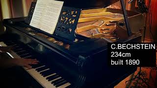 Bechstein 234 1890 [upl. by Ahsinan]