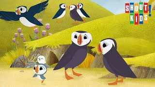 Puffin Rock And The New Friends  Clip Oona Sees Isabelle Flying [upl. by Bor]