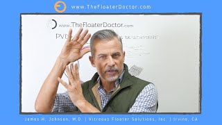 Natural Cure For Eye Floaters Eye Doctor Explains [upl. by Gerge675]