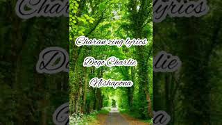 dogo Charlie nishapona lyrics by charan zing [upl. by Hedveh]