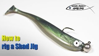 How to rig a Shad Jigswimbait  Basic angling tips [upl. by Sidoma]