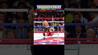 Luis Nery vs Yamanaka2ルイスネリvs山中慎介2boxing luisnery inoue naoya ルイスネリ山中慎介ボクシング [upl. by Yenolem]